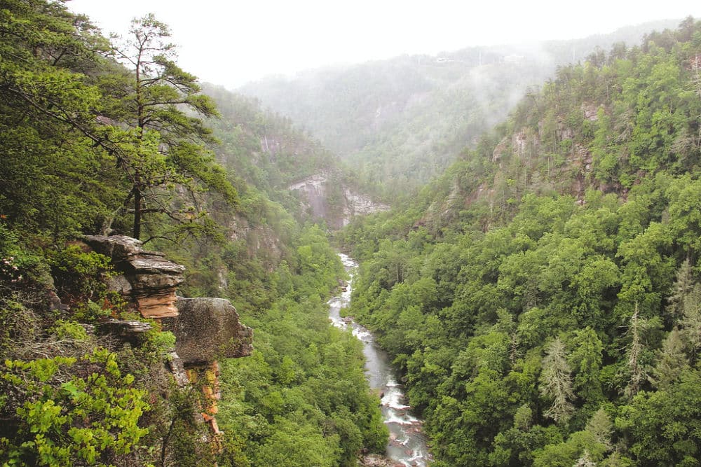 Tallulah Gorge in Georgia