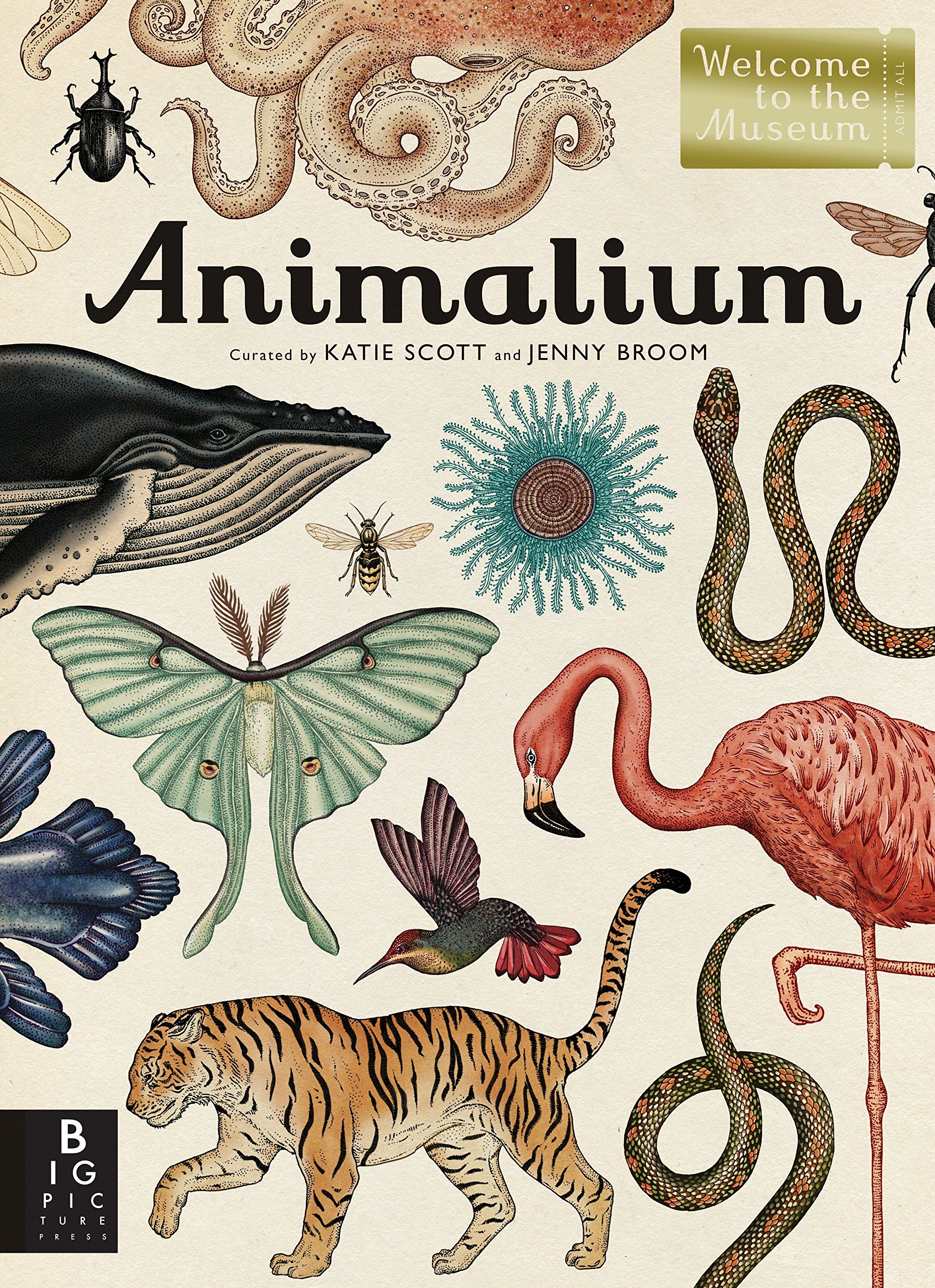 LIGHTNING DEAL ALERT! Animalium: Welcome to the Museum 55% off!