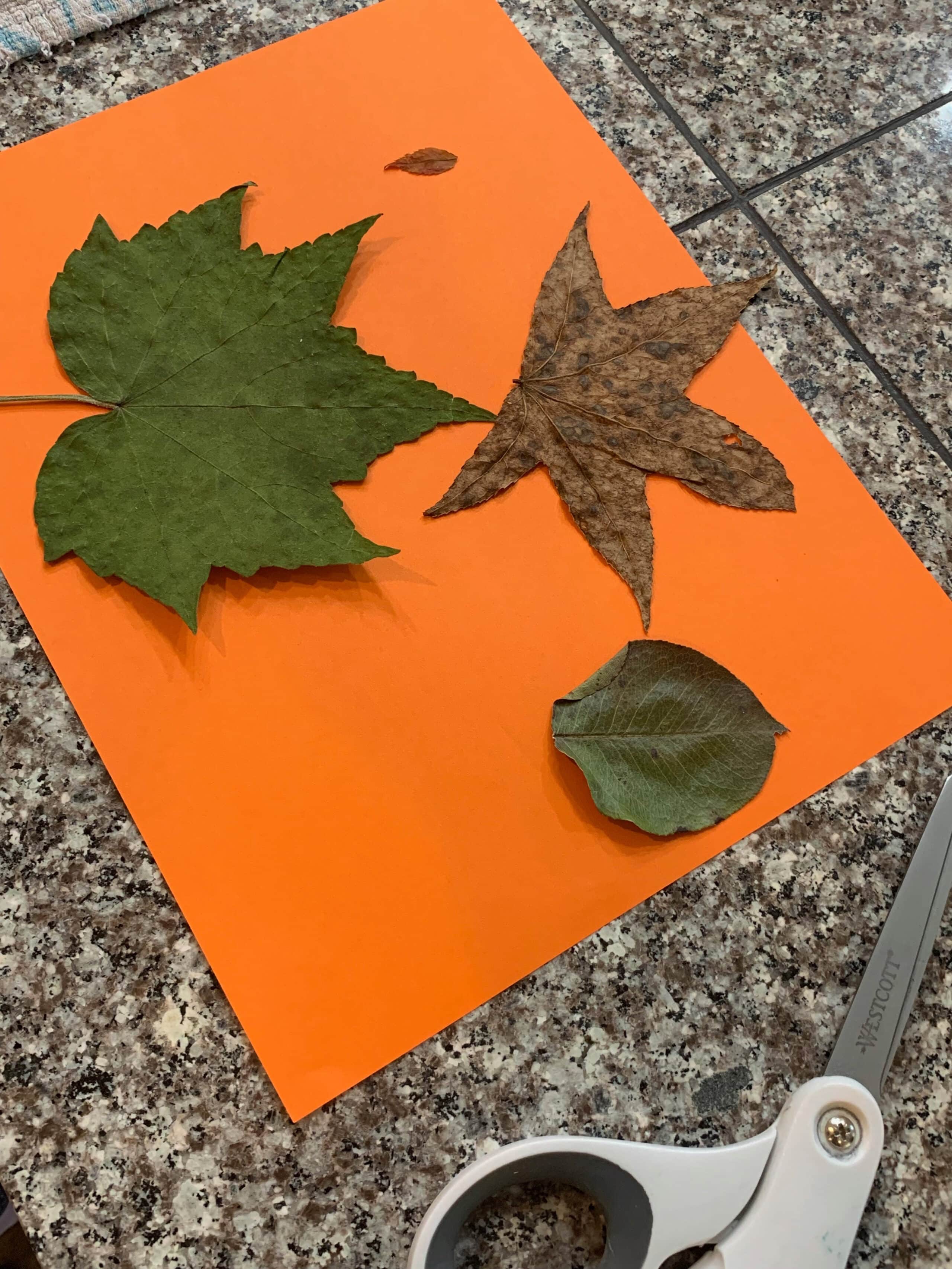 fall leaf creatures tutorial