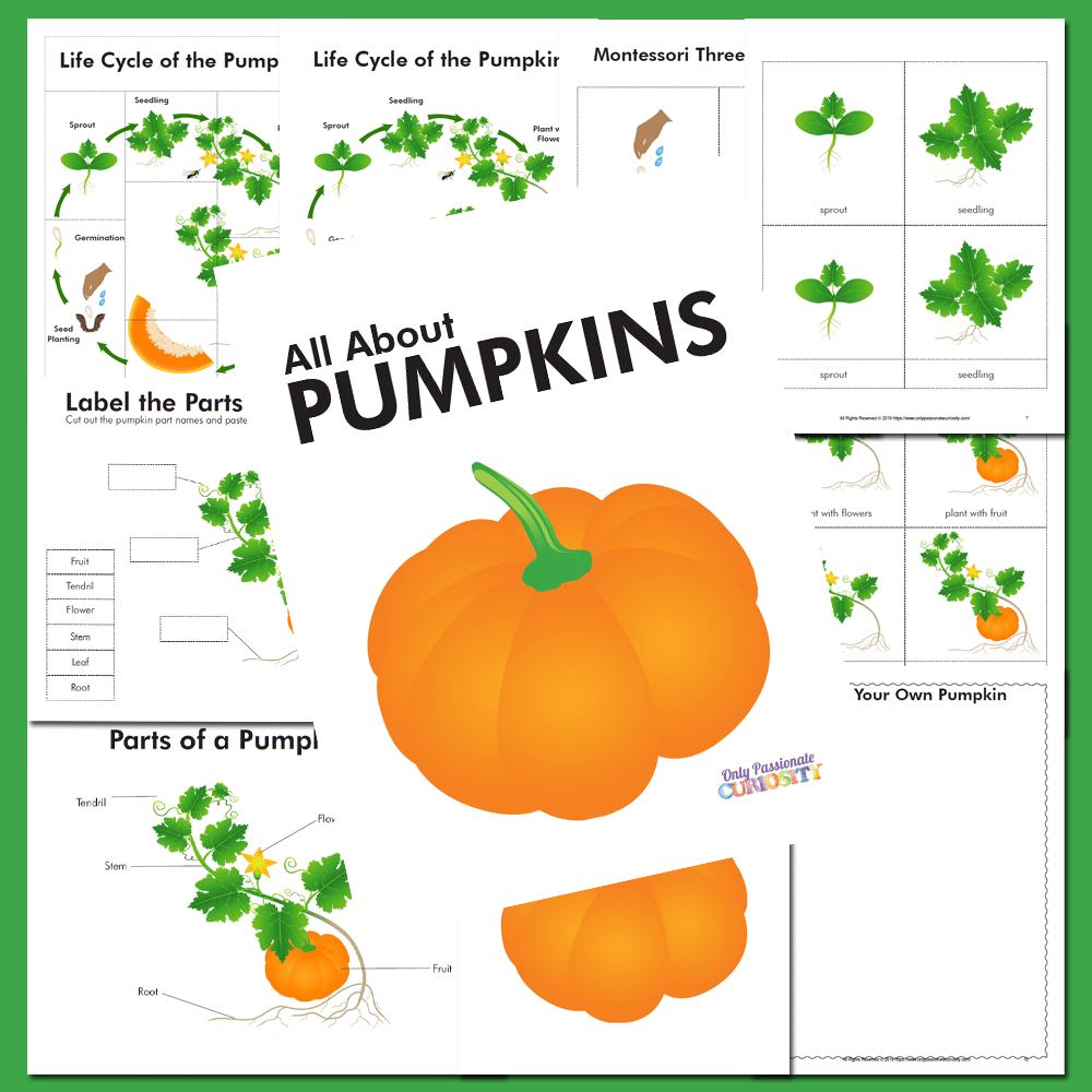 DEAL ALERT: FREE Unit Study – All About Pumpkins!
