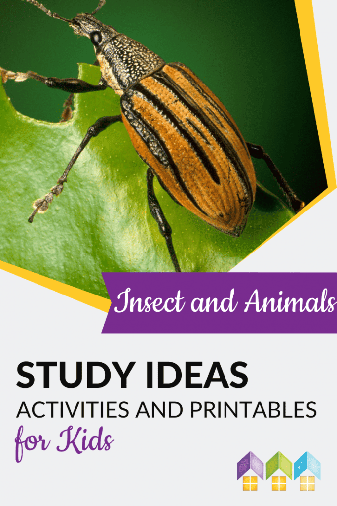One of my favorite things about spring is the return of butterflies! Today we’ve collected a few great butterfly activities, ideas, and printables for you and your children. #Butterfly #Spring #NatureStudy
