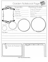 Botany Notebooking Bundle - Hip Homeschool Moms