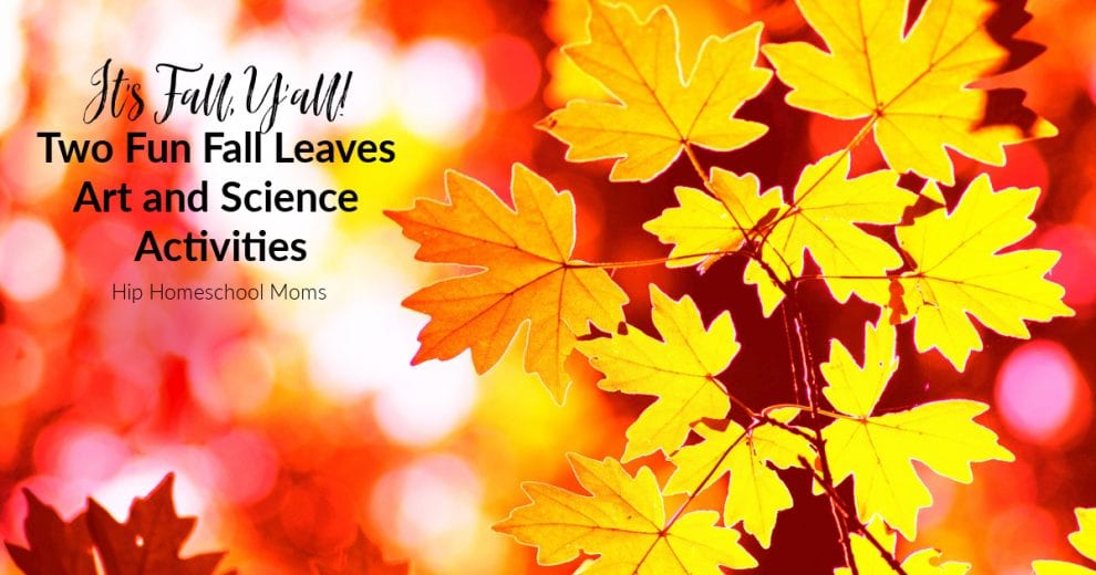 it-s-fall-y-all-two-fun-fall-leaves-art-and-science-activities-hip