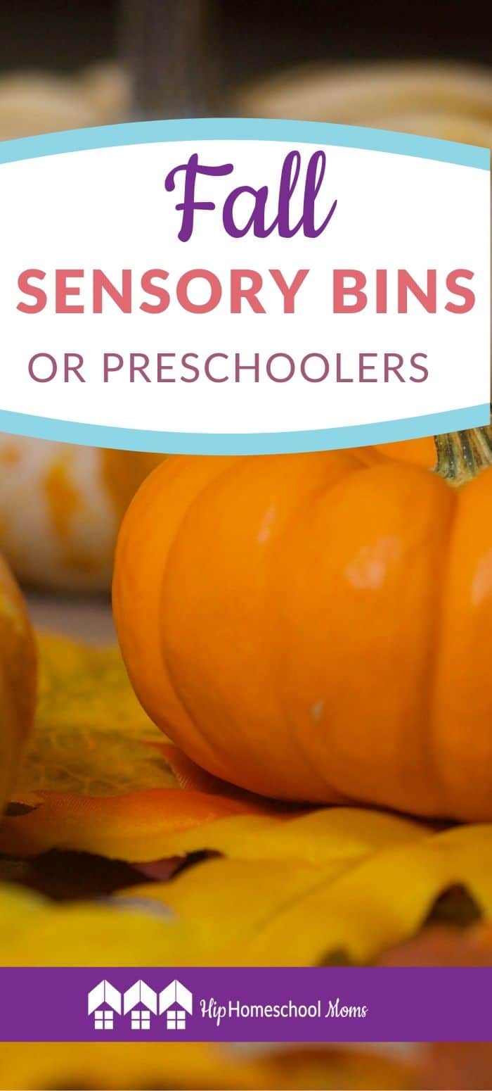 Fall Sensory Bins for Preschoolers - Hip Homeschool Moms