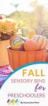 Here are some awesome fall sensory bin ideas that you can easily make at home for your preschoolers to enjoy. You will love watching your little ones play, explore, and learn!