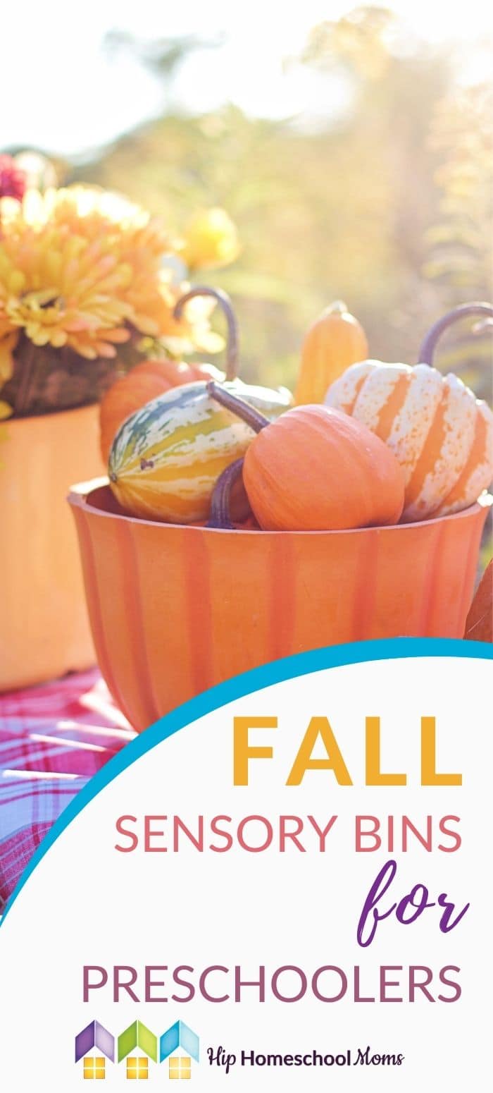 Fall Sensory Bins for Preschoolers - Hip Homeschool Moms