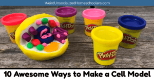 How to Make a Clay Cell Model - Hip Homeschool Moms