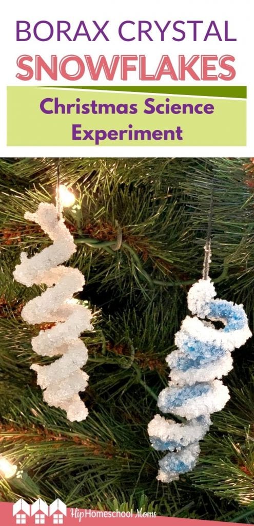 You'll need a bit of patience, but this science experiment will wow your kids to see Borax make crystals out of pipe cleaner ornaments!