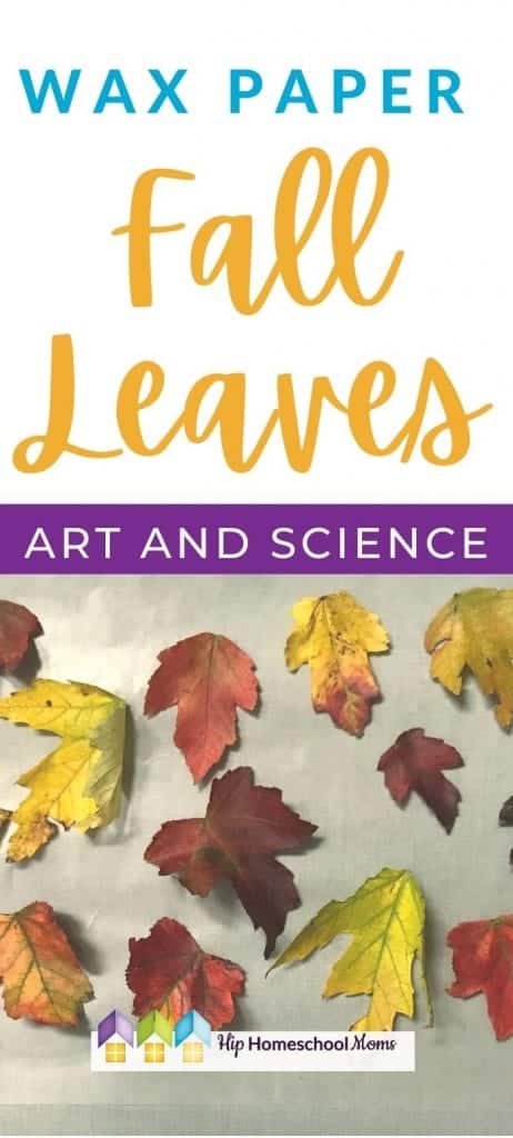 These two fun fall leaves art and science activities are perfect for this time of year! Grab a few fall leaves and give them a try!
