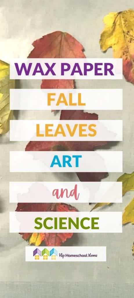 These two fun fall leaves art and science activities are perfect for this time of year! Grab a few fall leaves and give them a try!