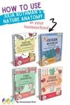 This Companion Notebook Series makes it fun and easy to use the Julia Rothman series of nature study books in your homeschool with no prep!