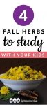 Autumn is a great time to learn about multipurpose fall herbs! This article has useful information and DIY recipes for four of them.