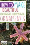 You'll need a bit of patience, but this science experiment will wow your kids as they make Borax crystal ornaments out of pipe cleaners!