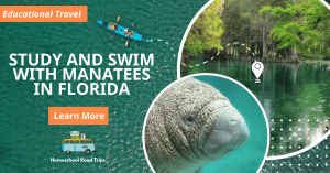 swim with manatees in florida