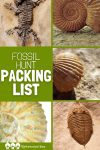 If you're getting ready to go on a fossil hunt or hope to go on one in the future, you'll need to know what to bring along. This fossil hunt packing list is a guide to help make sure you pack what you need--but not so much that you can't carry it all!