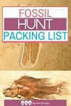 If you're getting ready to go on a fossil hunt or hope to go on one in the future, you'll need to know what to bring along. This fossil hunt packing list is a guide to help make sure you pack what you need--but not so much that you can't carry it all!