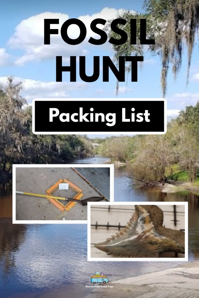 fossil hunt packing list