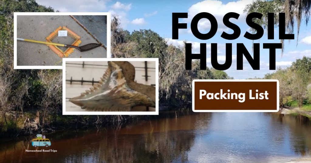 fossil hunt packing list