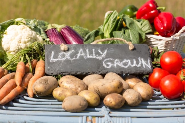 Learn math in the garden - sell veggies at the farmer's market