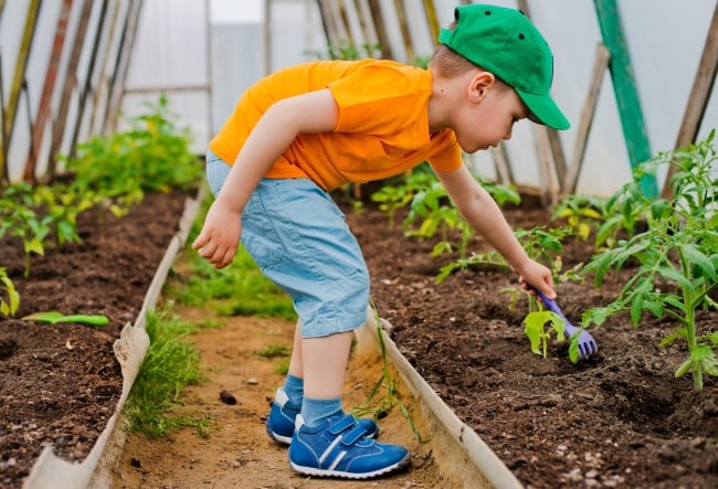 Learn math in the garden - boy digging in the dirt