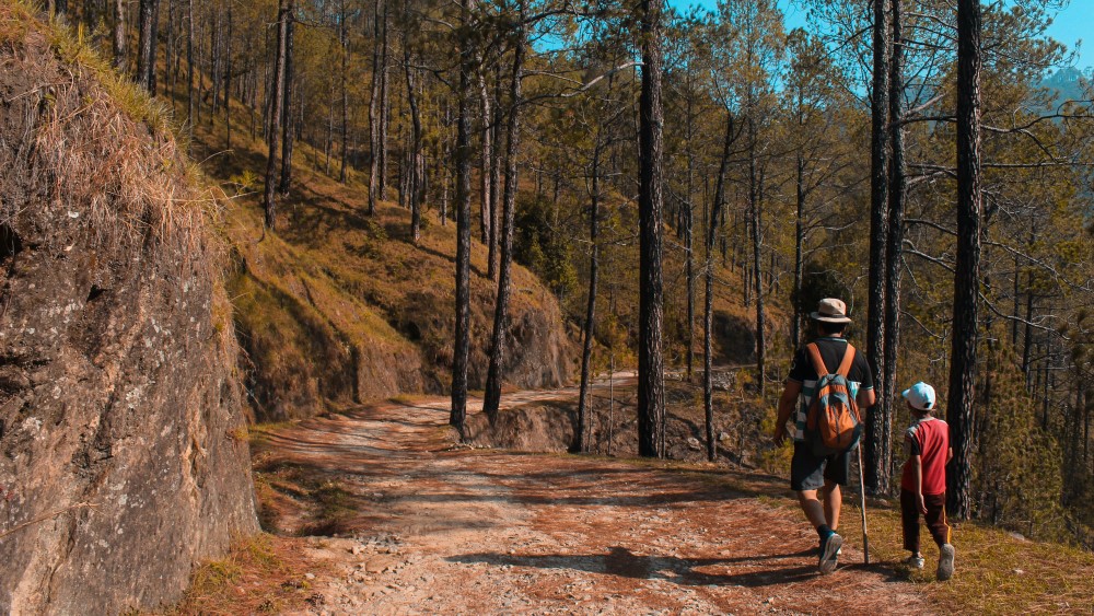 unit studies for homeschoolers - father and son hiking the outdoors