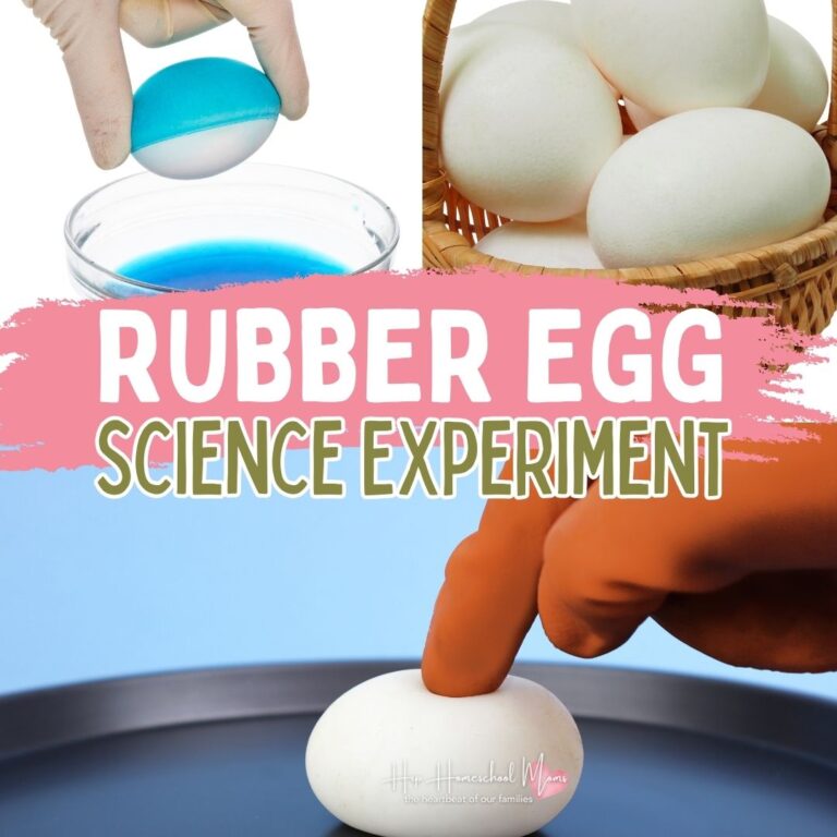 Cool Rubber Egg Science Experiment - Hip Homeschool Moms