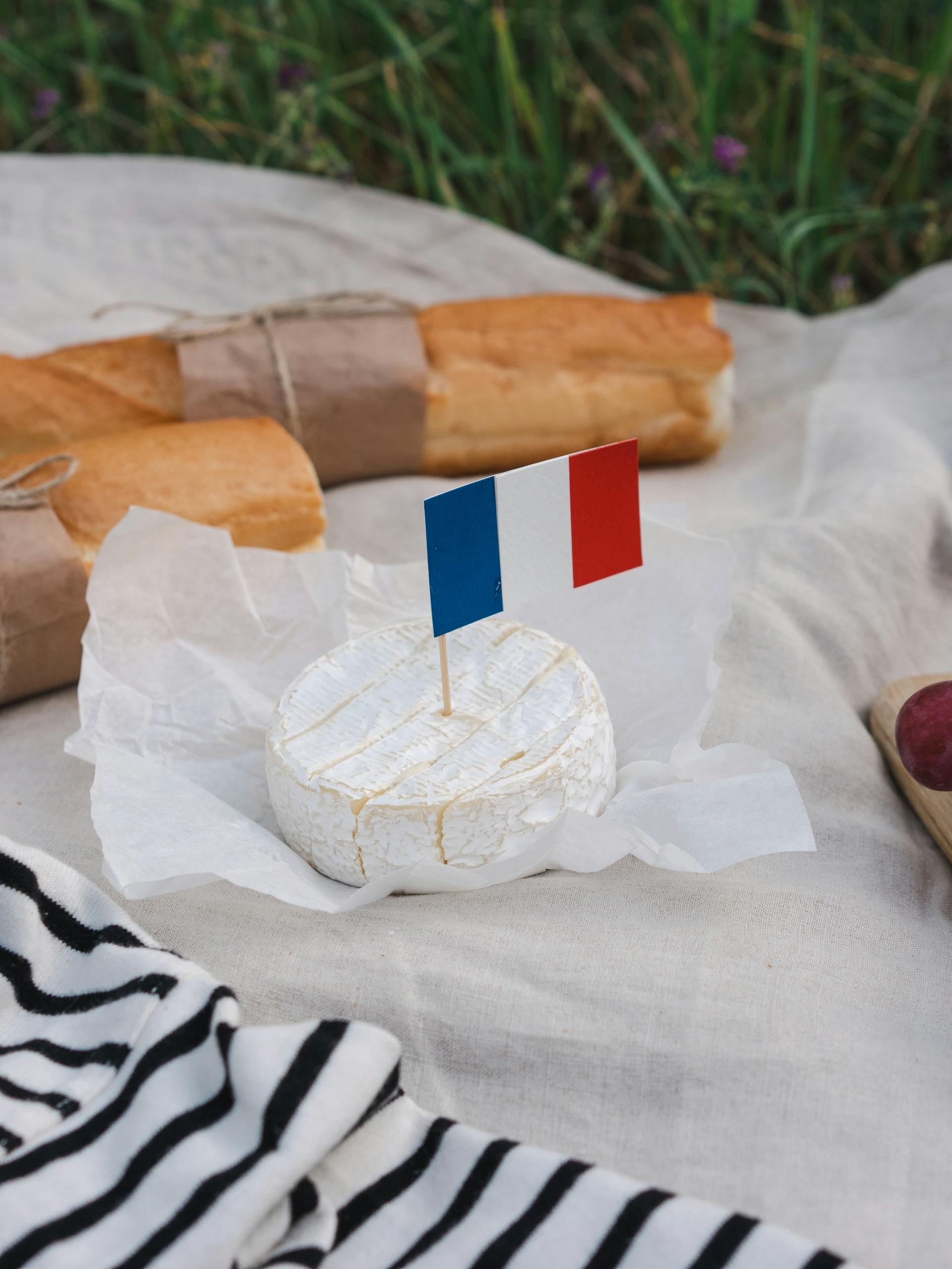 Food on Picnic Blanket