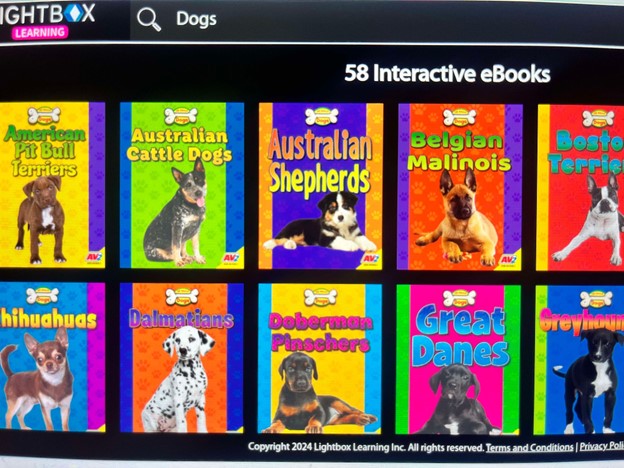 Lightbox Learning - interactive ebooks