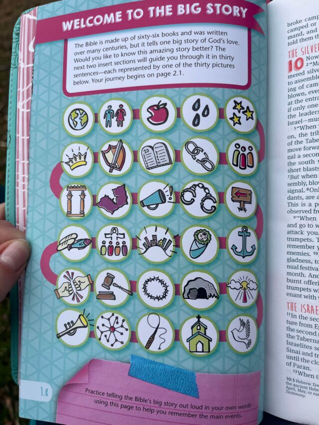 Girls Life Application Study Bible Review: Helping Tween Girls Grow in ...